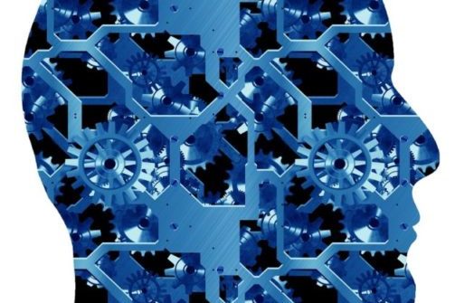 Les engrenages intérieurs